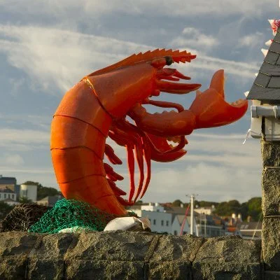 Olivier Leroy Avatar